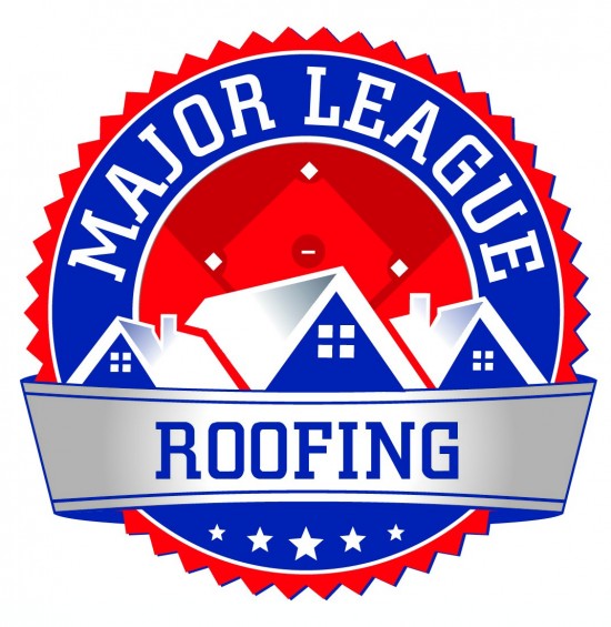 LOGO_silver_banner.jpg
